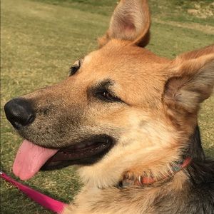 Meet your Posher, Gabriel